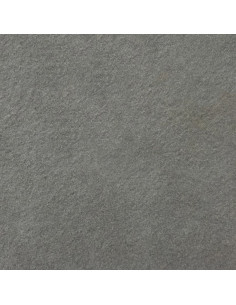 Ccn Granito Out Grey Rectificado Porc. 60x60 (1.80)
