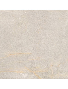 Ilva Augustus Fendi Natural Porc. 60x60 (1.80)